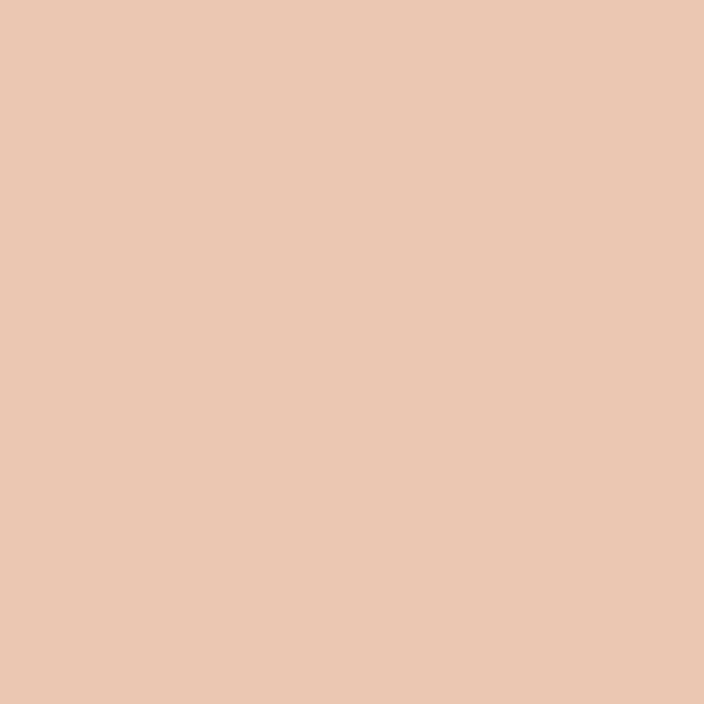 LASTING PRIMING CREAM SHADOW - MOIRA BEAUTY